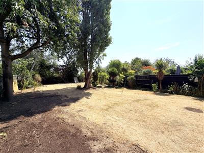 Picture 30